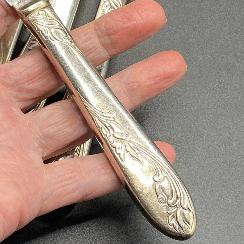 Vintage NS Co National Silver Co Silverplated 4 Dinner Knives Garden of Roses